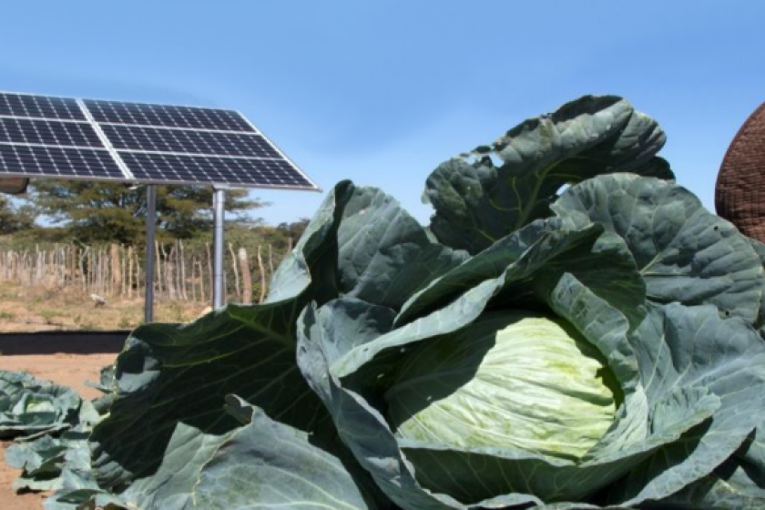 Agriculture SOS SAHEL