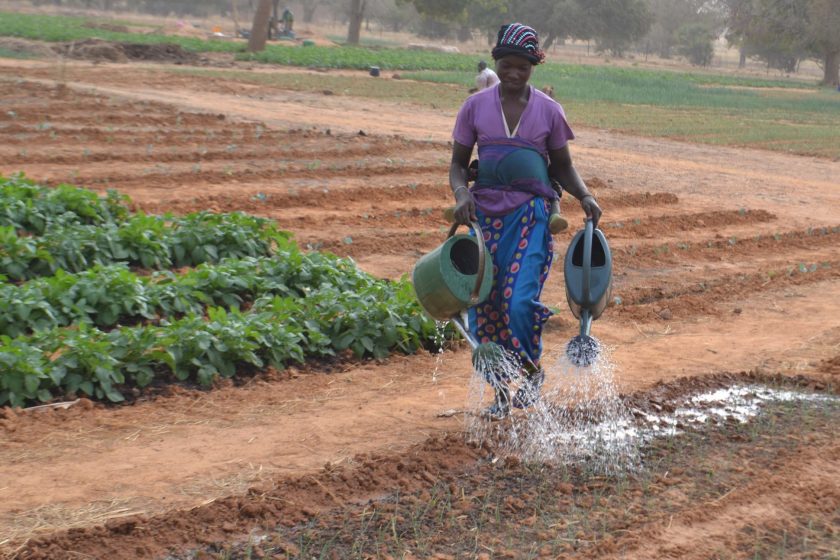 Agriculture Burkina Faso