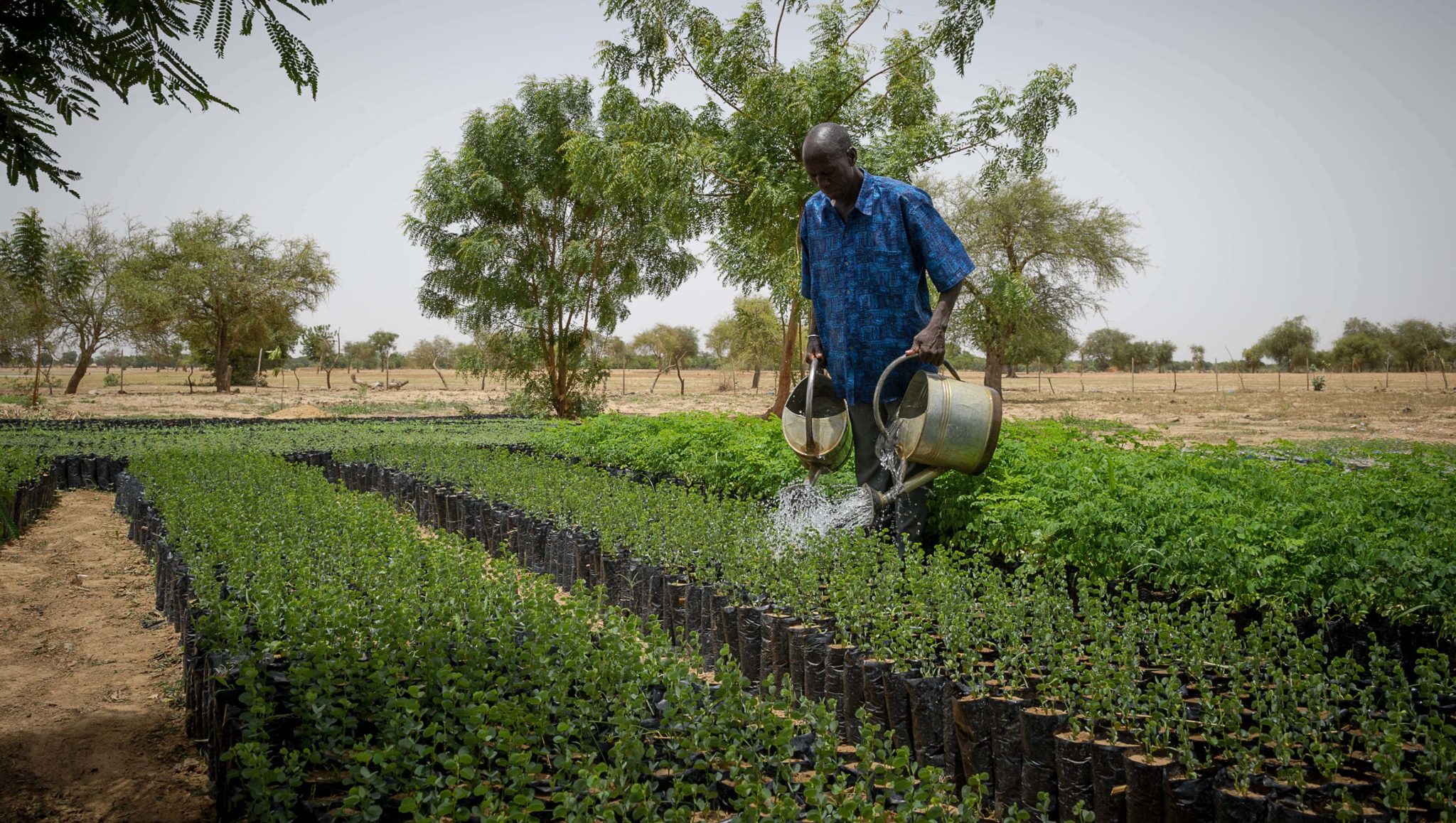 S’appuyer Sur La Capacité D’adaptation Des Sahéliens Pour Impulser Des ...