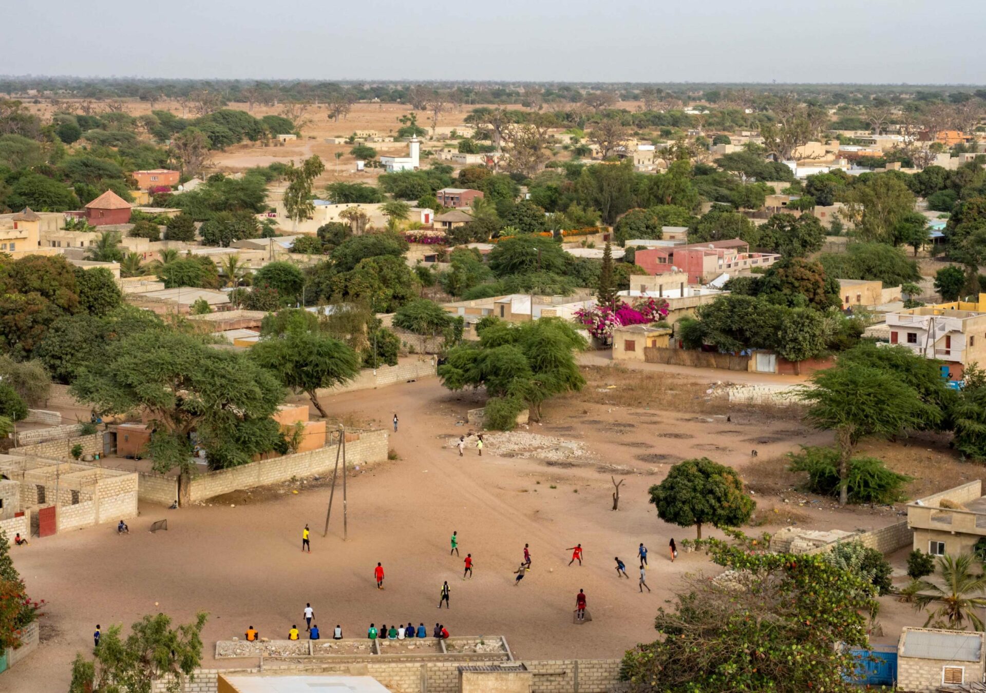 Multi-pays – Agroforesterie urbaine dans le Sahel