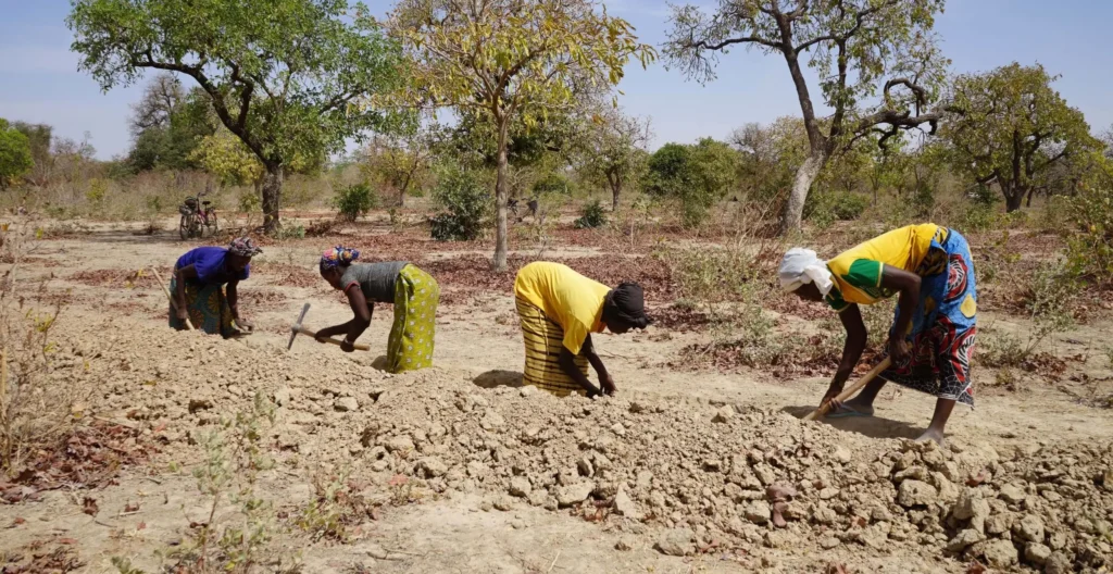 Des femmes employées pour creuser une haie vive au Burkina Faso