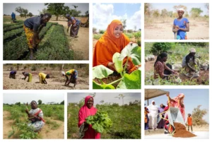 Eau SOS SAHEL Sénégal : Djigui Niokolo « Espoir à Niokolo »