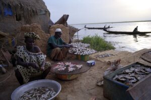 SOS SAHEL Mali, Pisciculture Mali