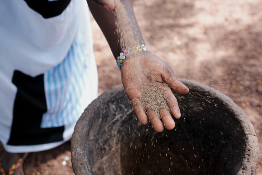 © Nicholas Holt - SOS SAHEL