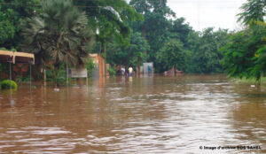 Inondations meurtrières au Sahel : urgence climatique et défis pour l'Afrique à la COP29