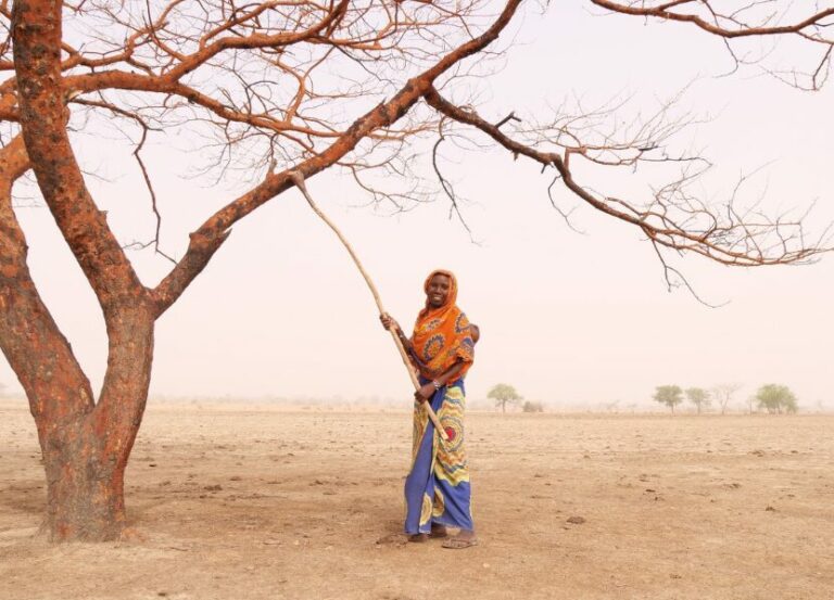 Productrice de gomme arabique au Tchad, SOS SAHEL