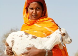 Eleveuse déplacée qui a reçu des petits ruminants