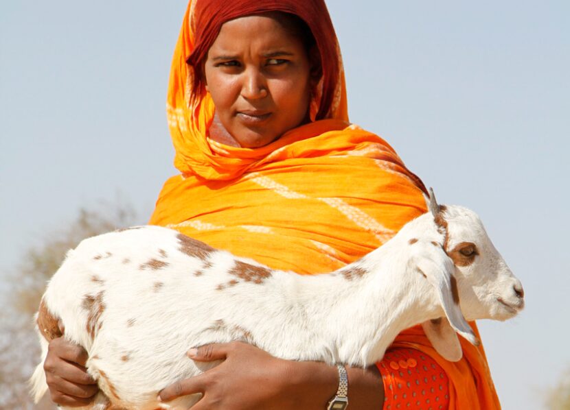 Eleveuse déplacée qui a reçu des petits ruminants