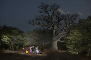 Arbres de vie Sénégal