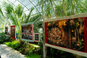 Exposition en lien avec des initiatives locales sur la biodiversité et les territoires.