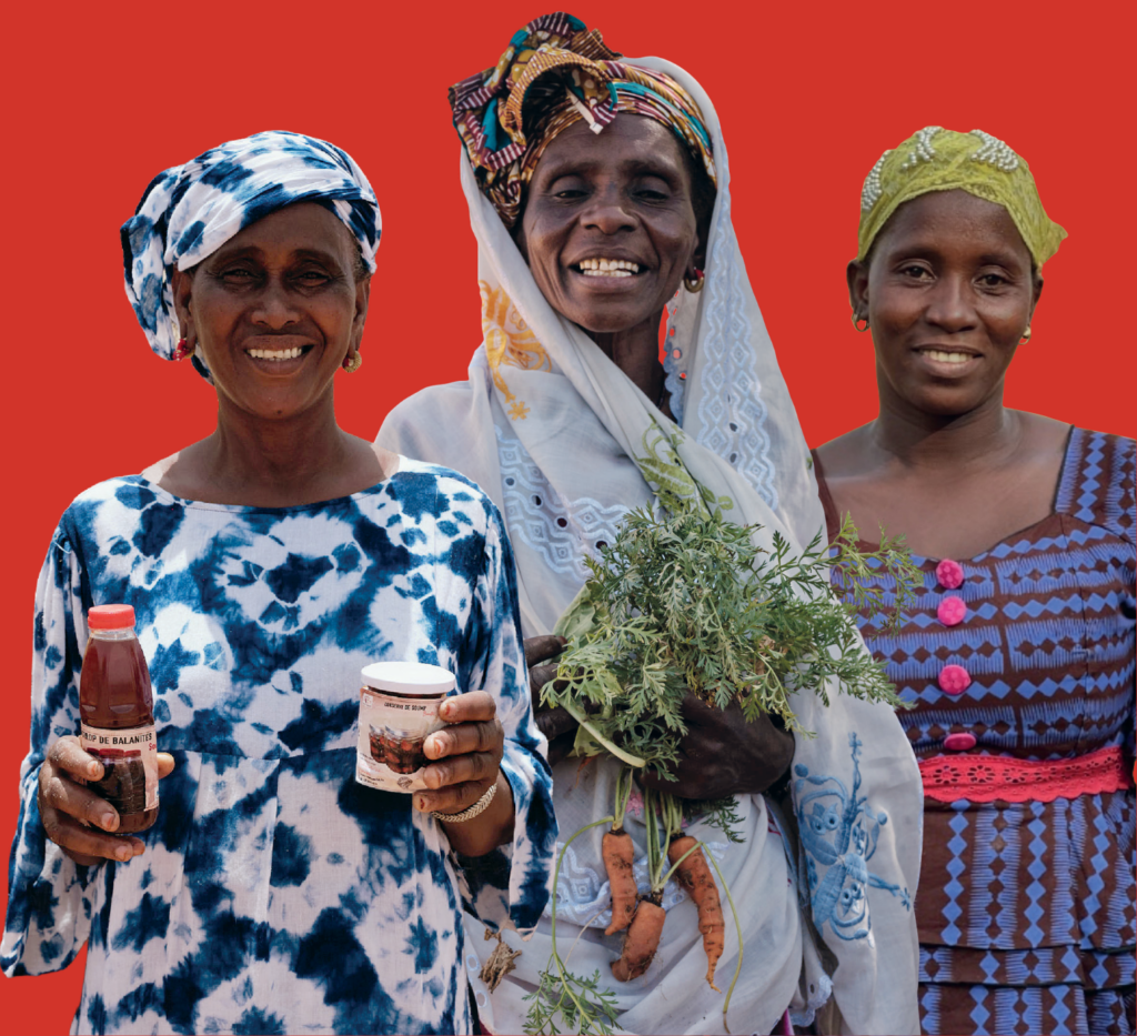 Des ressources locales au cœur des savoir-faire du Sahel